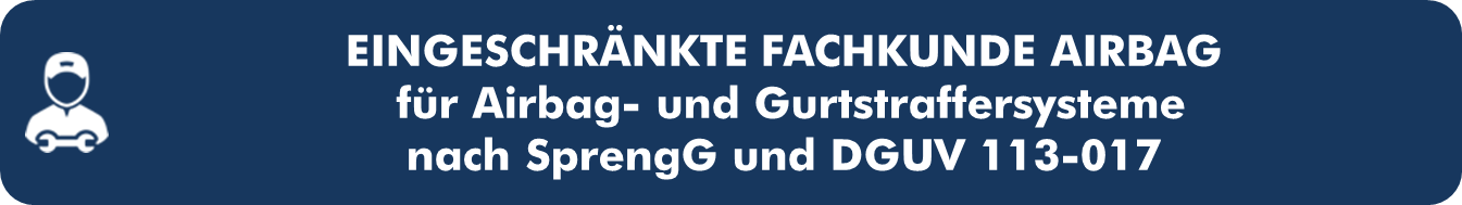 Fachkunde-Airbag-Gurtstraffer